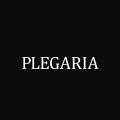 Plegaria logo